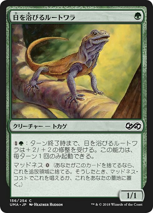 Foil】【JP】日を浴びるルートワラ/Basking Rootwalla [UMA] 緑C No 