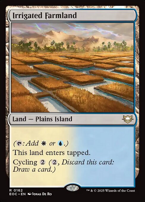 【EN】灌漑農地/Irrigated Farmland [EOC] 土地R No.162
