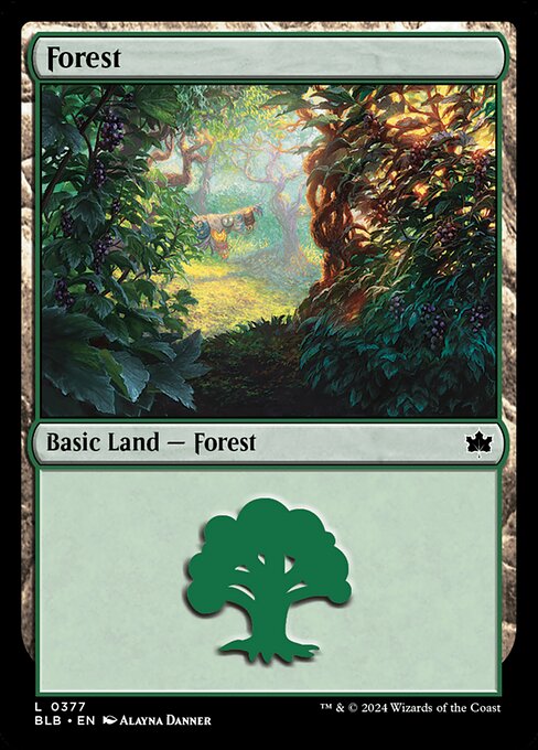 【Foil】【EN】森/Forest [BLB] 土地C No.377