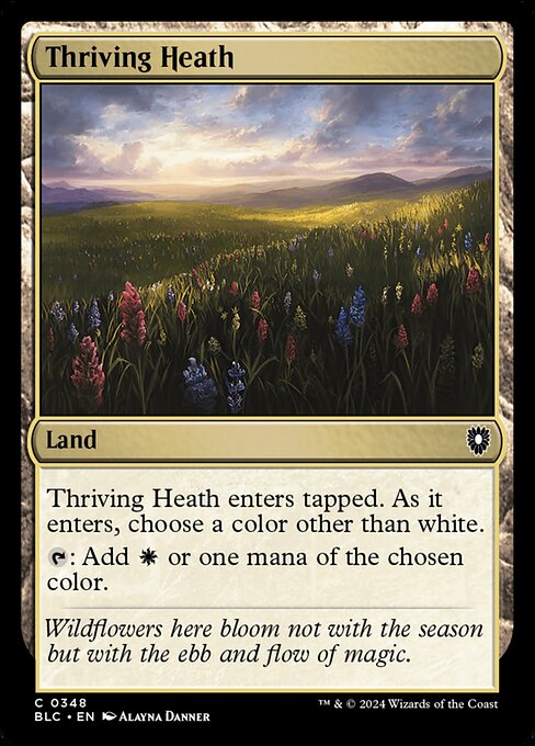 【EN】興隆する荒野/Thriving Heath [BLC] 土地C No.348