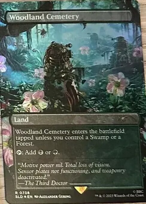 【ボーダレス】【Foil】【EN】森林の墓地/Woodland Cemetery [SLD] 無R No.738
