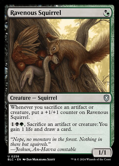 【EN】貪欲なるリス/Ravenous Squirrel [BLC] 金U No.258