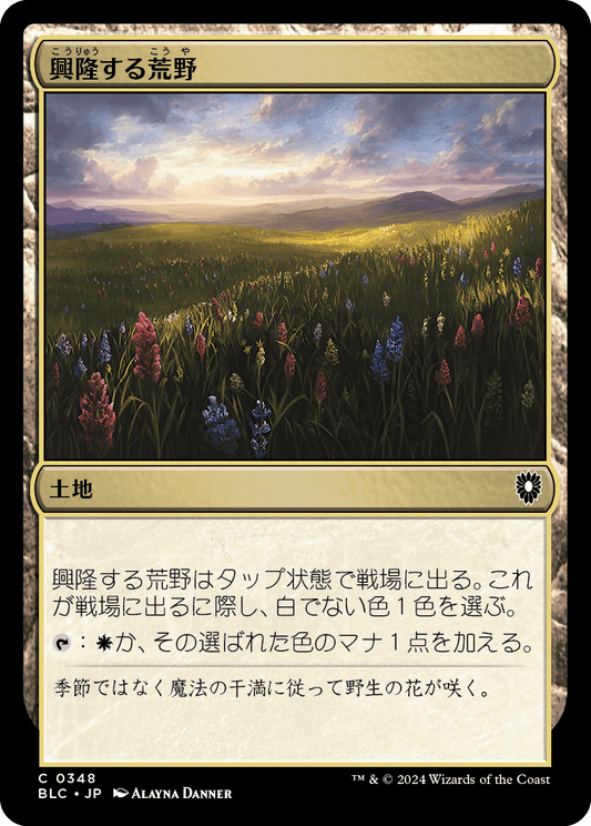 【JP】興隆する荒野/Thriving Heath [BLC] 土地C No.348