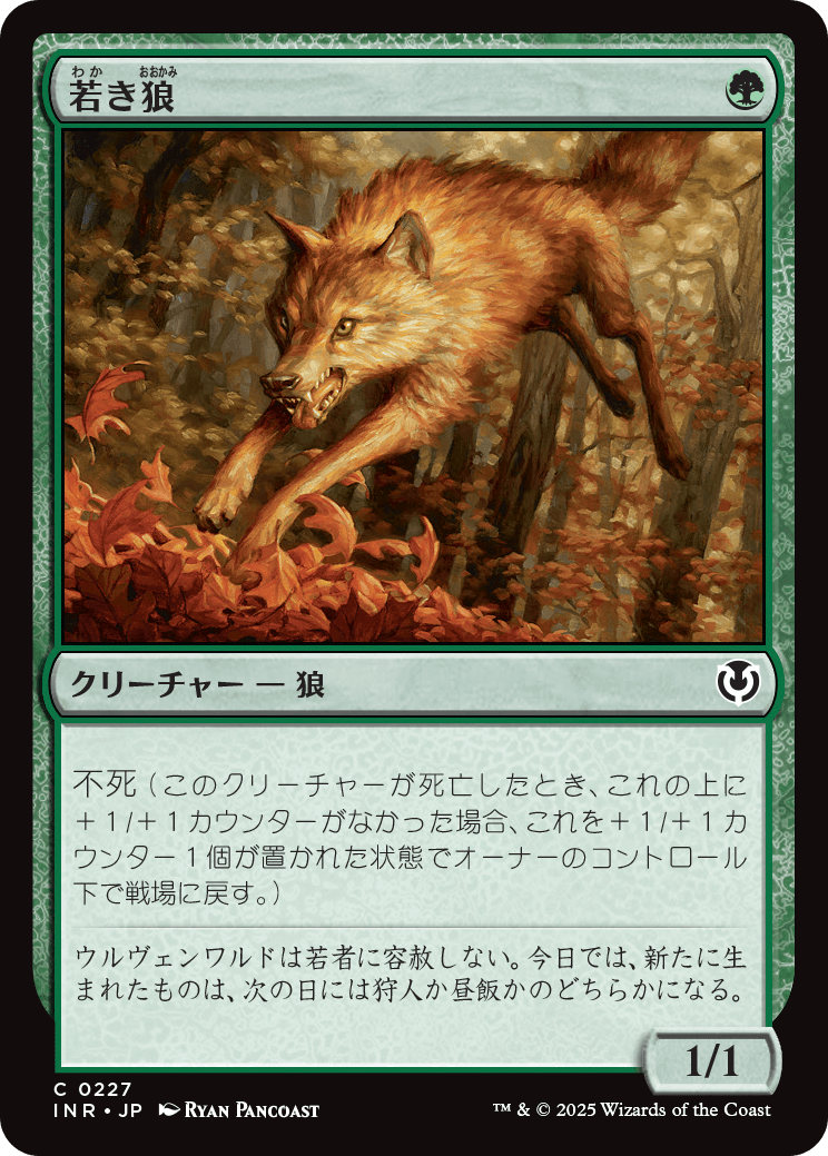 【Foil】【JP】若き狼/Young Wolf [INR] 緑C No.227
