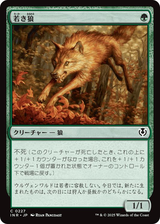 【Foil】【JP】若き狼/Young Wolf [INR] 緑C No.227