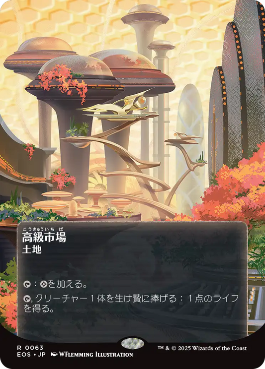 【ボーダレス】【Foil】【JP】高級市場/High Market [EOS] 土地R No.63