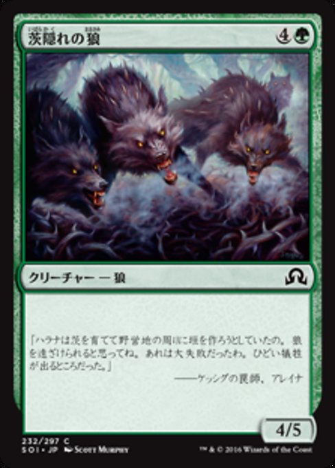 【Foil】【JP】茨隠れの狼/Thornhide Wolves [SOI] 緑C No.232