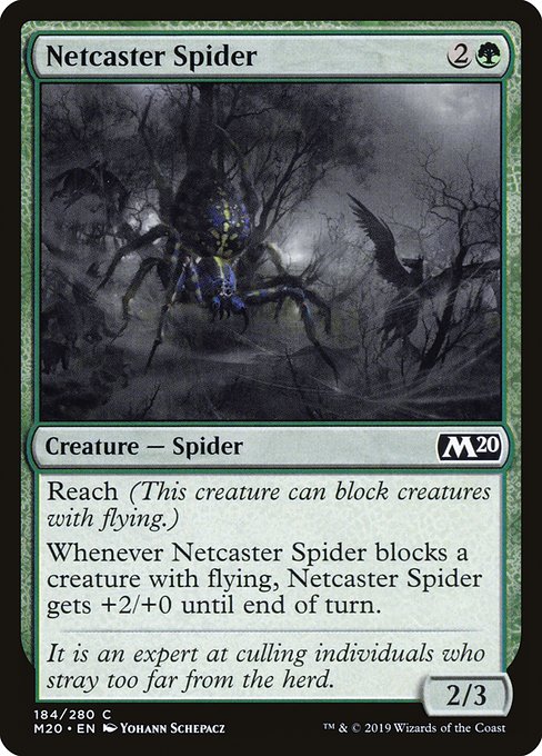 【Foil】【EN】網投げ蜘蛛/Netcaster Spider [M20] 緑C No.184