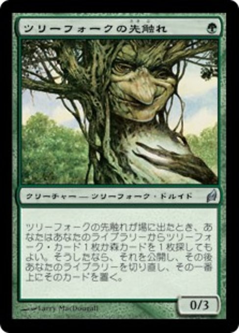 【Foil】【JP】ツリーフォークの先触れ/Treefolk Harbinger [LRW] 緑U No.239