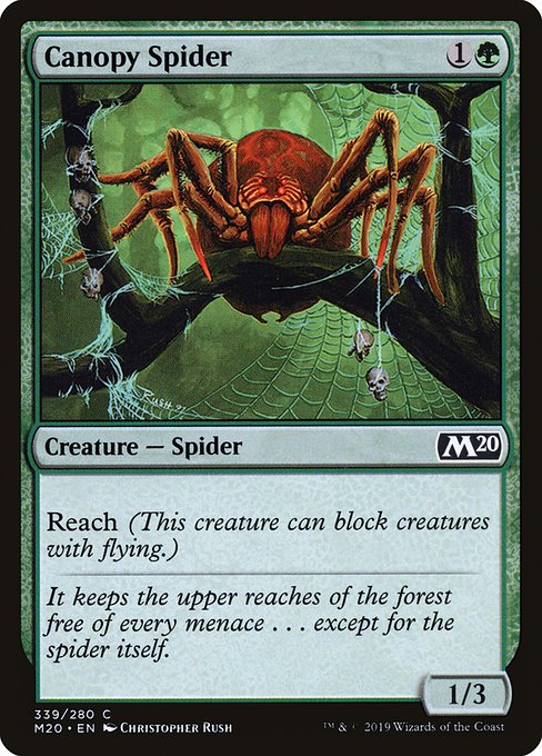 【EN】梢の蜘蛛/Canopy Spider [M20] 緑C No.339