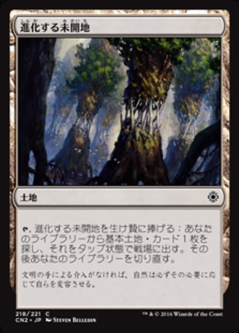 【Foil】【JP】進化する未開地/Evolving Wilds [CN2] 無C No.218