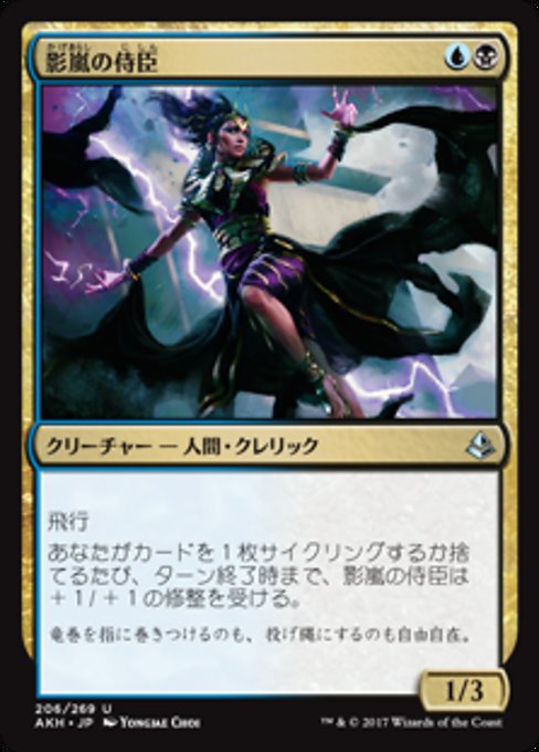 【JP】影嵐の侍臣/Shadowstorm Vizier [AKH] 金U No.206
