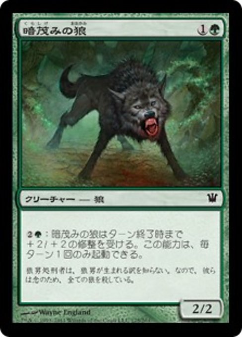 【Foil】【JP】暗茂みの狼/Darkthicket Wolf [ISD] 緑C No.175