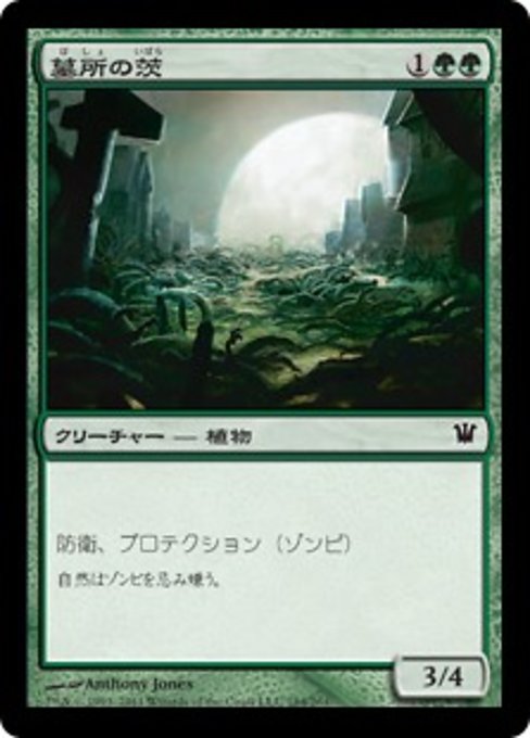 【Foil】【JP】墓所の茨/Grave Bramble [ISD] 緑C No.184