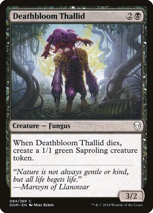 【Foil】【EN】死花のサリッド/Deathbloom Thallid [DOM] 黒C No.84