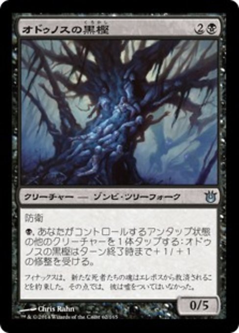 【Foil】【JP】オドゥノスの黒樫/Black Oak of Odunos [BNG] 黒U No.62