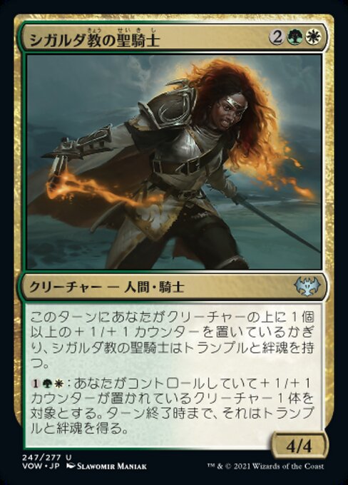 【Foil】【JP】シガルダ教の聖騎士/Sigardian Paladin [VOW] 金U No.247