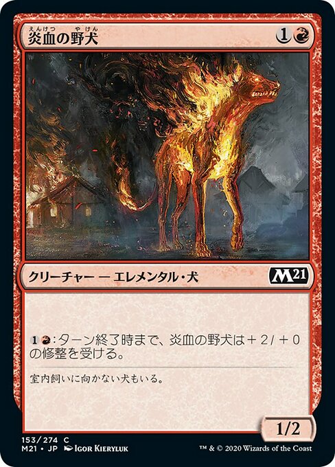 【Foil】【JP】炎血の野犬/Igneous Cur [M21] 赤C No.153