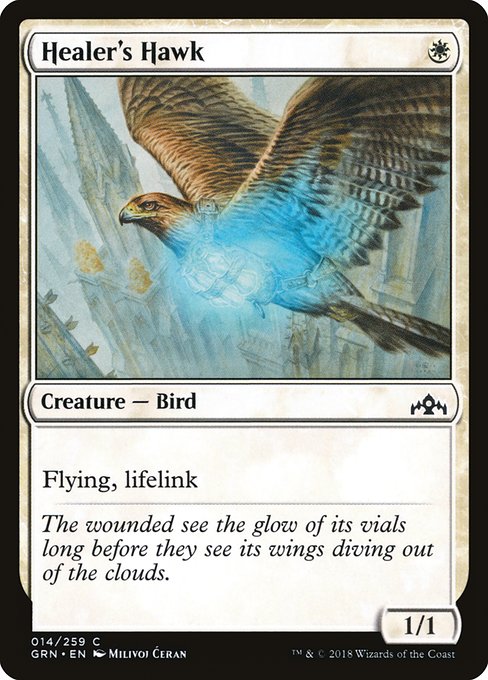 【Foil】【EN】癒し手の鷹/Healer's Hawk [GRN] 白C No.14