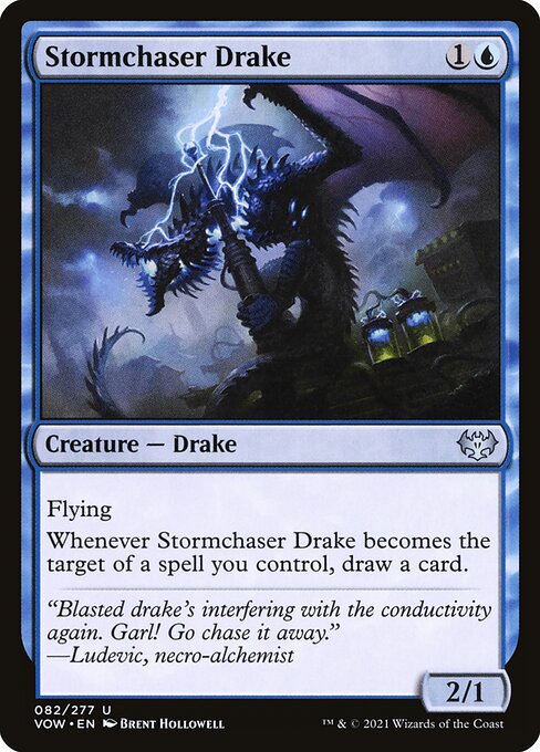 【Foil】【EN】嵐追いのドレイク/Stormchaser Drake [VOW] 青U No.82