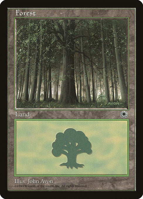 【EN】森/Forest [POR] 無C No.212