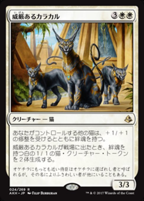 【JP】威厳あるカラカル/Regal Caracal [AKH] 白R No.24