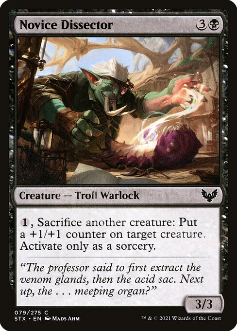 【Foil】【EN】新米解剖者/Novice Dissector [STX] 黒C No.79
