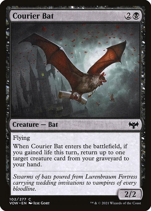 【Foil】【EN】コウモリの急使/Courier Bat [VOW] 黒C No.102