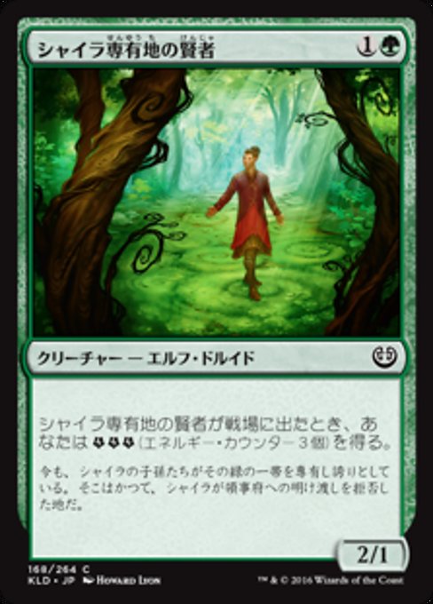 【Foil】【JP】シャイラ専有地の賢者/Sage of Shaila's Claim [KLD] 緑C No.168