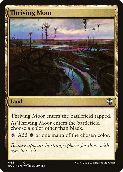 【EN】興隆する湿地帯/Thriving Moor [NCC] 無C No.442