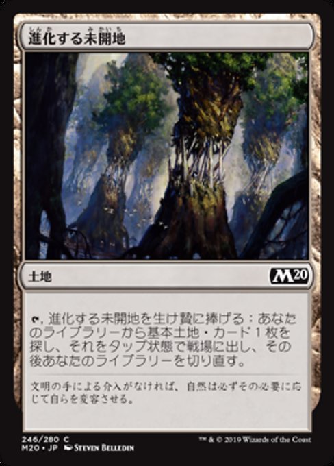 【JP】進化する未開地/Evolving Wilds [M20] 無C No.246