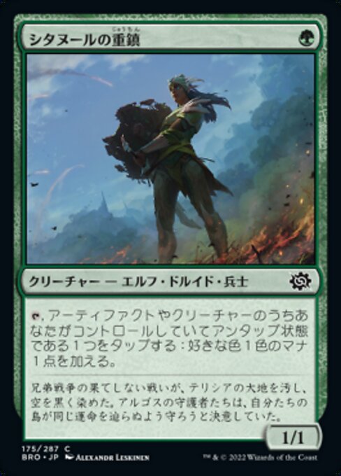 【Foil】【JP】シタヌールの重鎮/Citanul Stalwart [BRO] 緑C No.175