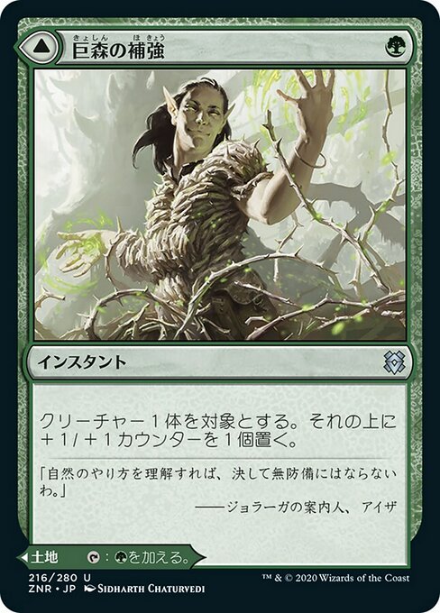 【Foil】【JP】Vastwood Fortification // Vastwood Thicket [ZNR] 混U No.216