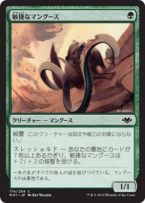 【Foil】【JP】敏捷なマングース/Nimble Mongoose [MH1] 緑C No.174
