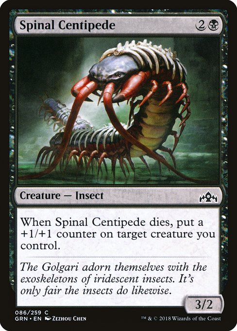 【EN】背骨ムカデ/Spinal Centipede [GRN] 黒C No.86