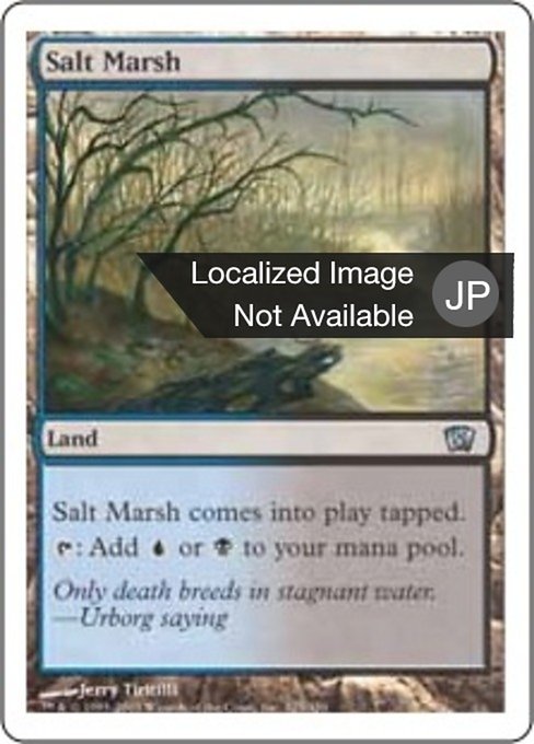 【JP】塩の湿地/Salt Marsh [8ED] 無U No.325