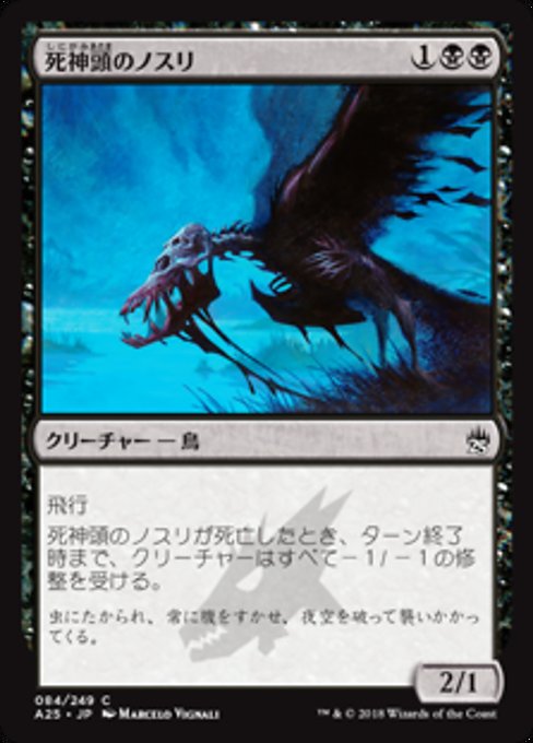 【Foil】【JP】死神頭のノスリ/Death's-Head Buzzard [A25] 黒C No.84