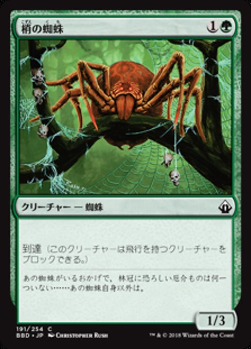 【JP】梢の蜘蛛/Canopy Spider [BBD] 緑C No.191