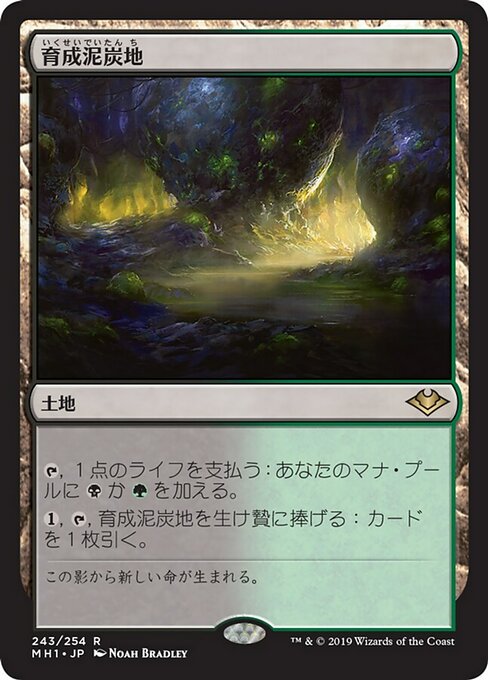 【Foil】【JP】育成泥炭地/Nurturing Peatland [MH1] 無R No.243