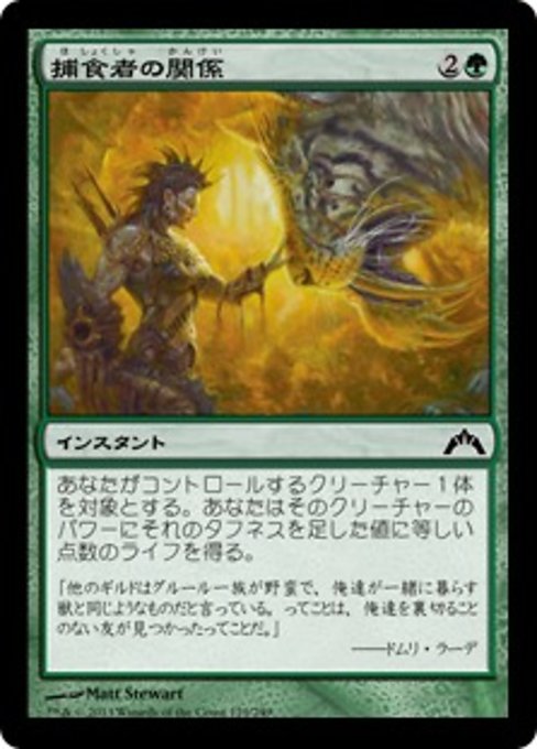 【Foil】【JP】捕食者の関係/Predator's Rapport [GTC] 緑C No.129