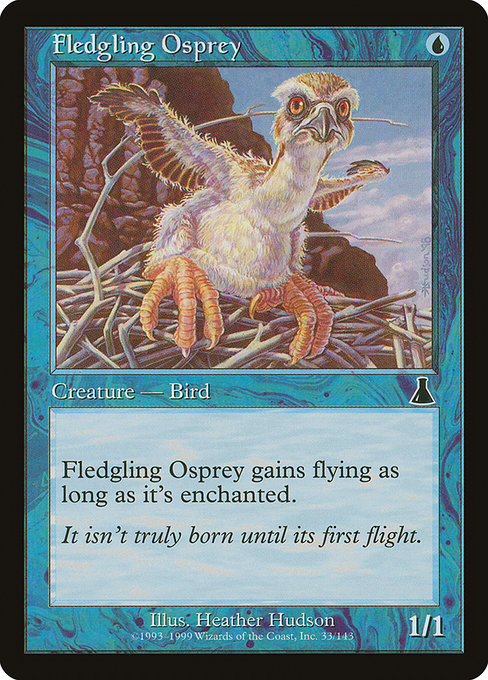 【Foil】【EN】巣立つミサゴ/Fledgling Osprey [UDS] 青C No.33