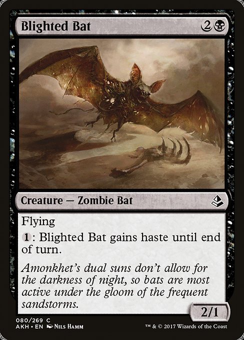 【Foil】【EN】枯死コウモリ/Blighted Bat [AKH] 黒C No.80