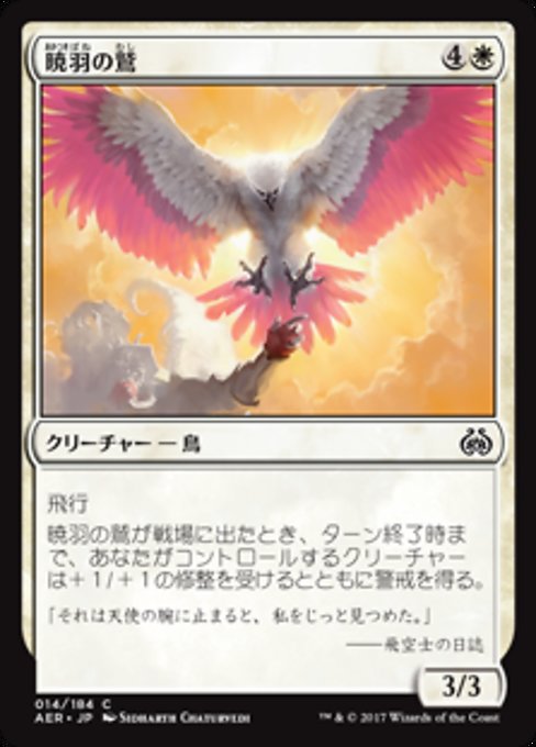 【Foil】【JP】暁羽の鷲/Dawnfeather Eagle [AER] 白C No.14