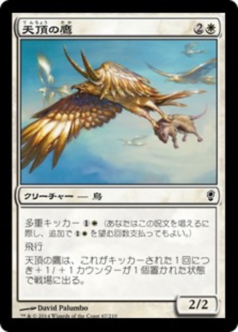 【JP】天頂の鷹/Apex Hawks [CNS] 白C