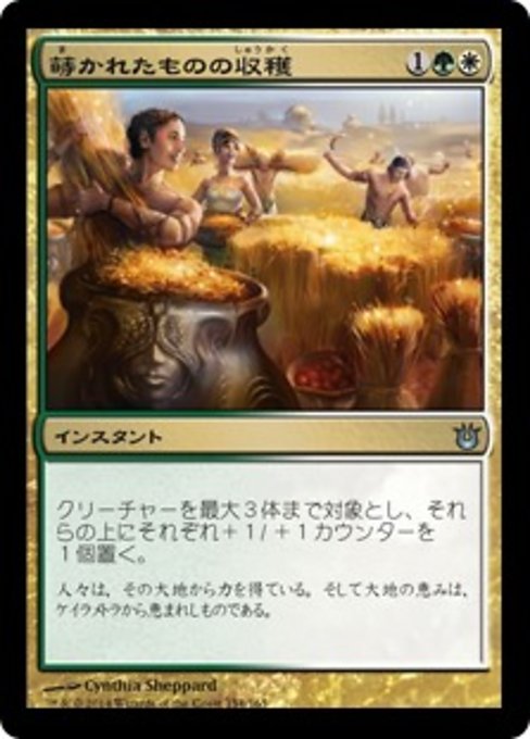 【Foil】【JP】蒔かれたものの収穫/Reap What Is Sown [BNG] 金U No.154