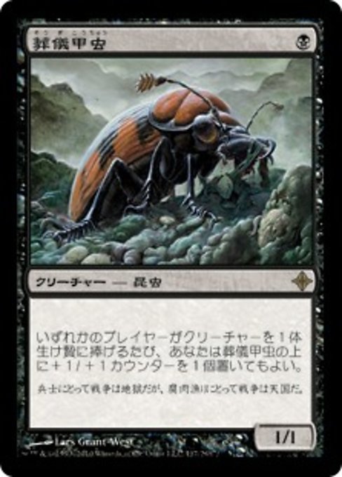 【JP】葬儀甲虫/Mortician Beetle [ROE] 黒R No.117