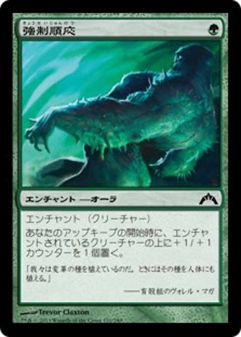【Foil】【JP】強制順応/Forced Adaptation [GTC] 緑C No.120