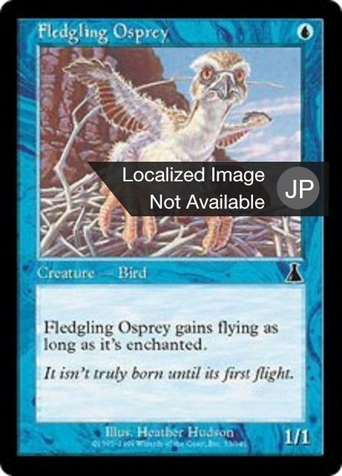 【Foil】【JP】巣立つミサゴ/Fledgling Osprey [UDS] 青C No.33