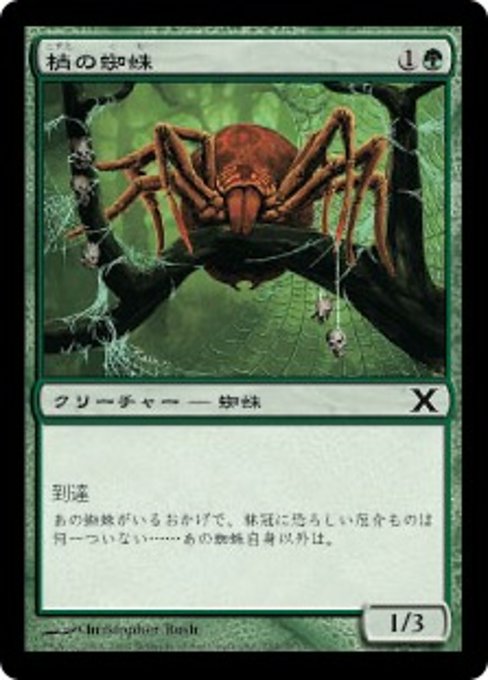 【JP】梢の蜘蛛/Canopy Spider [10E] 緑C No.254