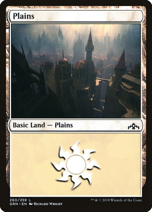 【Foil】【EN】平地/Plains [GRN] 無C No.260